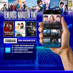 Imagen de VIKI PERFIL X 30 DIAS