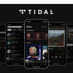 Imagen de TIDAL INDIVIDUAL (1 MES)